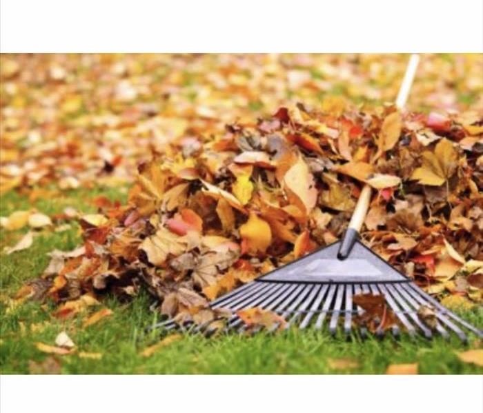 Leaves on grass with rake 