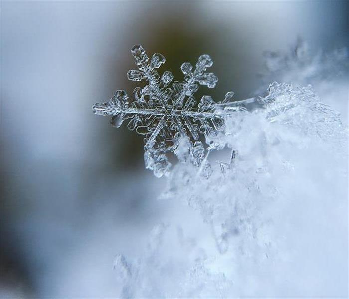 snowflake focused on while the background is unfocused